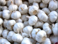 TIP: How To Peel Garlic